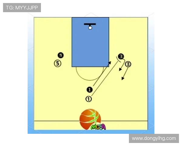 篮球新手必看：快速掌握基础技巧与战术的全面指南